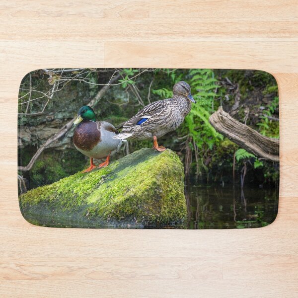 Item preview, Two Mallard ducks (Anas platyrhynchos) designed and sold by Stephen Jarman.