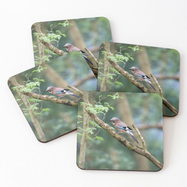 Item preview, Eurasian jay (Garrulus glandarius)   designed and sold by Stephen Jarman.