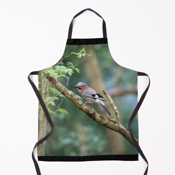 Item preview, Eurasian jay (Garrulus glandarius) designed and sold by Stephen Jarman.