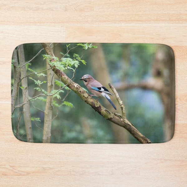 Item preview, Eurasian jay (Garrulus glandarius)   designed and sold by Stephen Jarman.