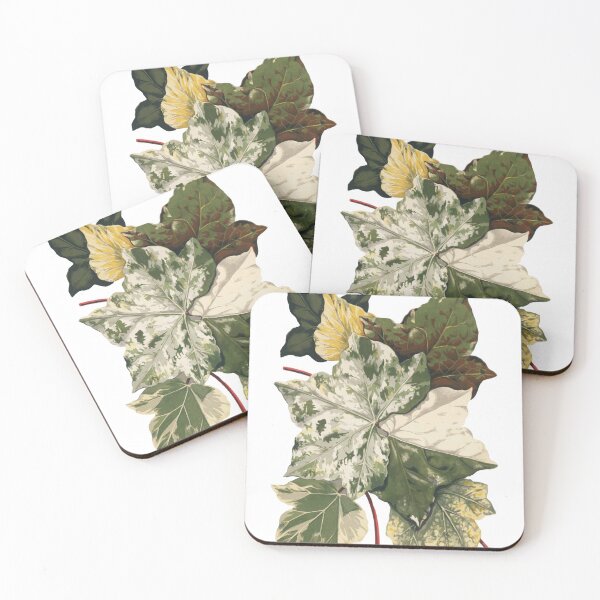 Item preview, variegata leaf designed and sold by arisukma11.