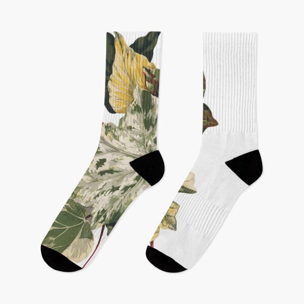 Item preview, variegata leaf designed and sold by arisukma11.