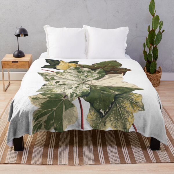 Item preview, variegata leaf designed and sold by arisukma11.