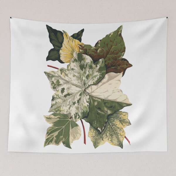 Item preview, variegata leaf designed and sold by arisukma11.