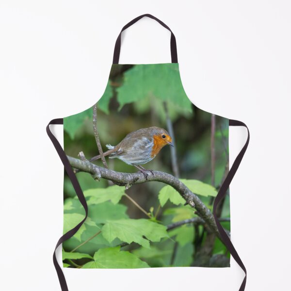 Item preview, Robin standing on a branch (Erithacus rubecula) designed and sold by Stephen Jarman.
