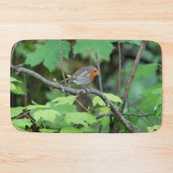 Item preview, Robin standing on a branch (Erithacus rubecula) designed and sold by Stephen Jarman.