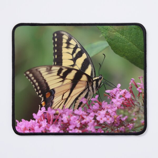 Item preview, Butterfly Beauty designed and sold by LisaNaturePhoto.