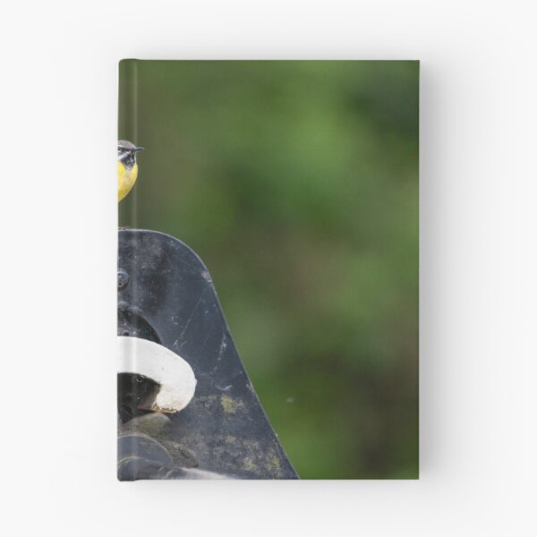 Item preview, Grey Wagtail (Motacilla cinerea) designed and sold by Stephen Jarman.
