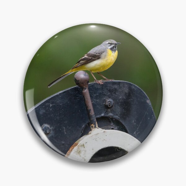 Item preview, Grey Wagtail (Motacilla cinerea) designed and sold by Stephen Jarman.