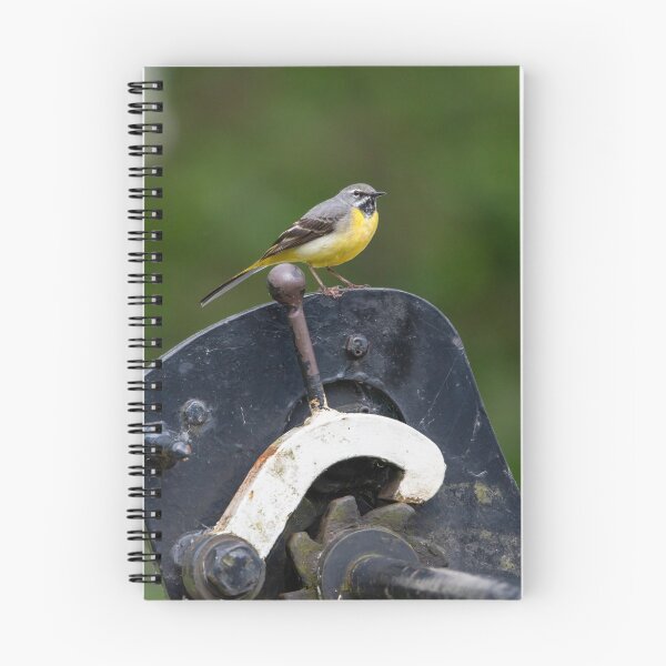 Item preview, Grey Wagtail (Motacilla cinerea) designed and sold by Stephen Jarman.