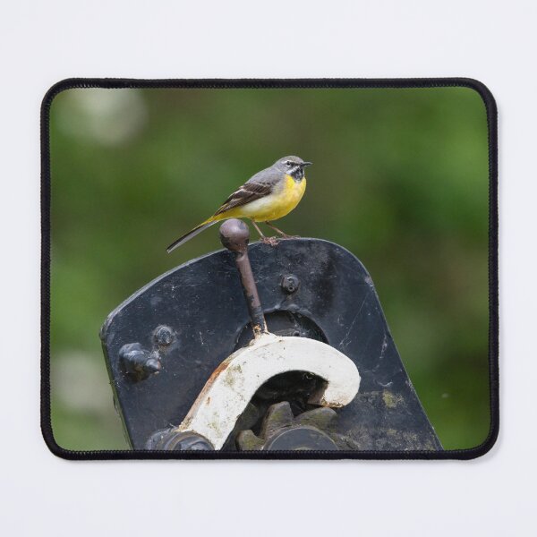 Item preview, Grey Wagtail (Motacilla cinerea) designed and sold by Stephen Jarman.