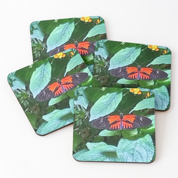 Item preview, butterfly designed and sold by évasion paysage.