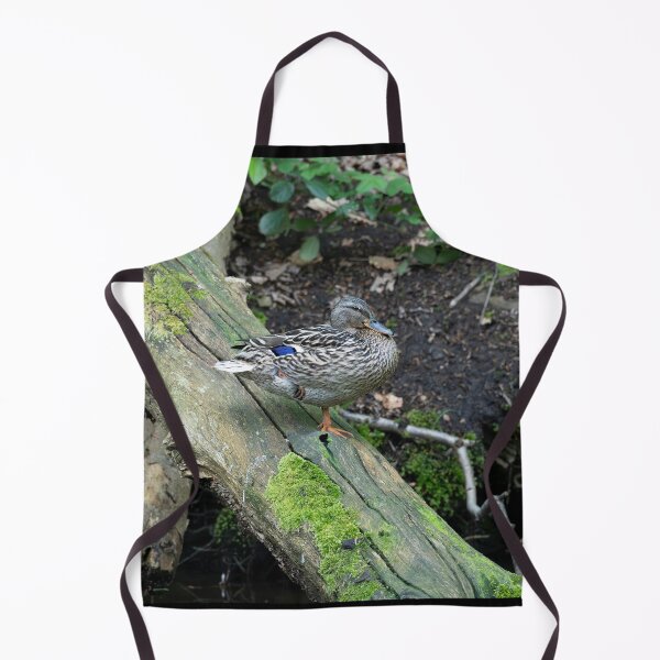 Item preview, Female Mallard duck (Anas platyrhynchos) designed and sold by Stephen Jarman.