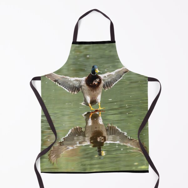 Item preview, Male Mallard duck landing on water (Anas platyrhynchos) designed and sold by Stephen Jarman.