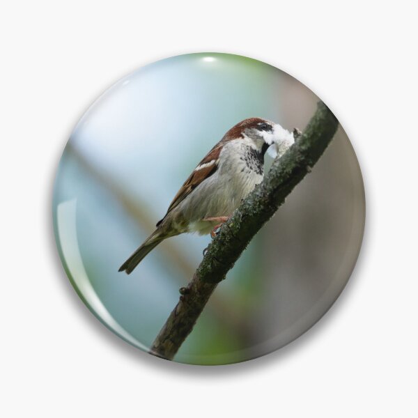 Item preview, Eurasian tree sparrow (Passer montanus) designed and sold by Stephen Jarman.