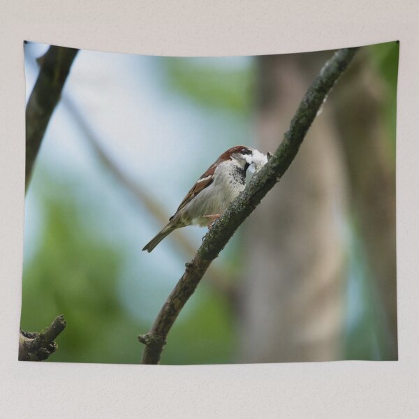 Item preview, Eurasian tree sparrow (Passer montanus) designed and sold by Stephen Jarman.