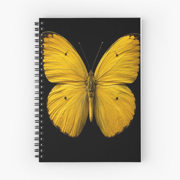 Artikelvorschau, Goldener Schmetterling auf Schwarz entworfen und verkauft von ZYVARENNE.