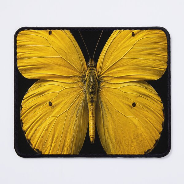 Item preview, Golden Butterfly on Black designed and sold by ZYVARENNE.