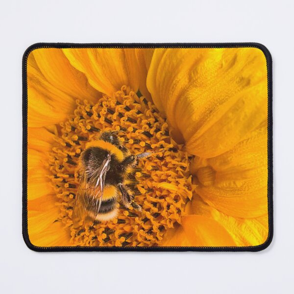 Item preview, Bee gathering pollen from a golden sunflower designed and sold by Violaman.