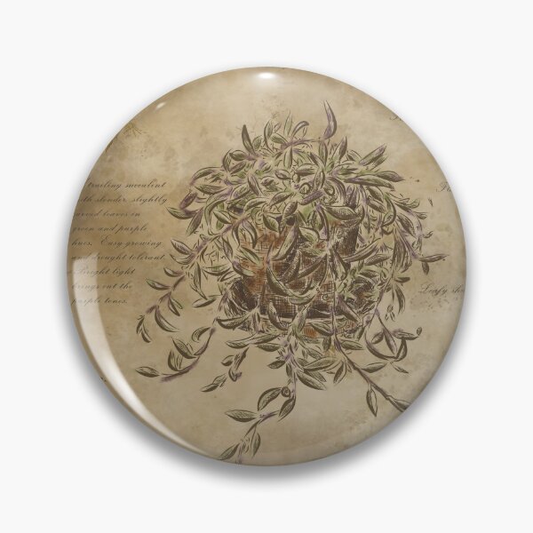 Item preview, Senecio Purple Flash - Vintage Botanical Herbarium Illustration designed and sold by KristyUnicorn.