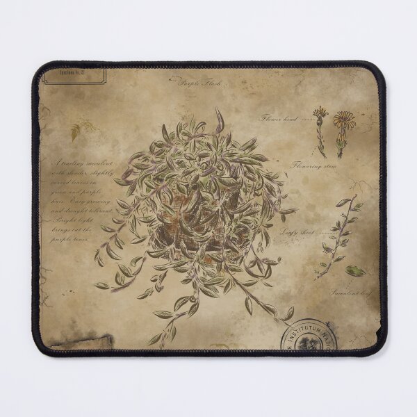 Item preview, Senecio Purple Flash - Vintage Botanical Herbarium Illustration designed and sold by KristyUnicorn.