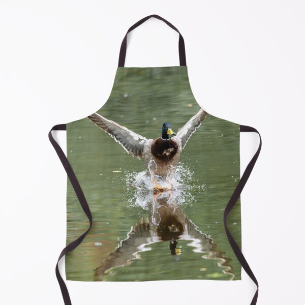 Item preview, Male Mallard duck landing on water splash (Anas platyrhynchos) designed and sold by Stephen Jarman.