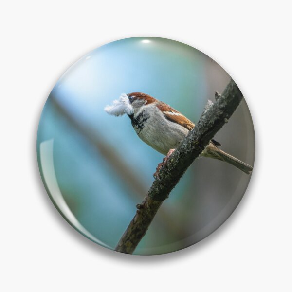Item preview, Eurasian tree sparrow (Passer montanus)  designed and sold by Stephen Jarman.