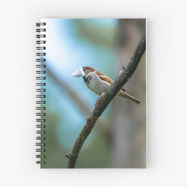 Item preview, Eurasian tree sparrow (Passer montanus)  designed and sold by Stephen Jarman.