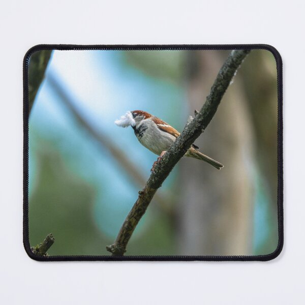 Item preview, Eurasian tree sparrow (Passer montanus)  designed and sold by Stephen Jarman.