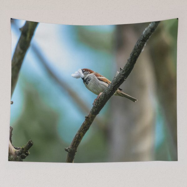 Item preview, Eurasian tree sparrow (Passer montanus)  designed and sold by Stephen Jarman.
