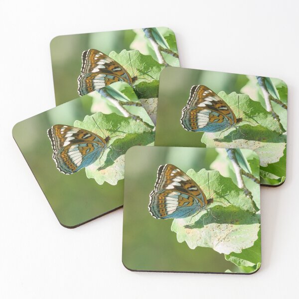 Item preview, On the aspen leaf. Poplar Admiral designed and sold by Jouko Lehto Photography.