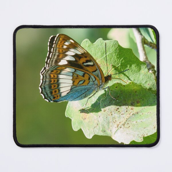 Item preview, On the aspen leaf. Poplar Admiral designed and sold by Jouko Lehto Photography.