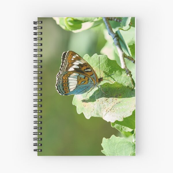 Item preview, On the aspen leaf. Poplar Admiral designed and sold by Jouko Lehto Photography.