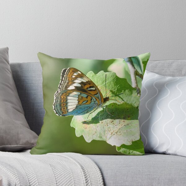Item preview, On the aspen leaf. Poplar Admiral designed and sold by Jouko Lehto Photography.