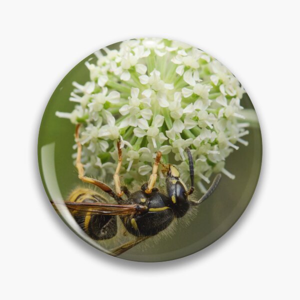 Item preview, European wasp on Wild Angelica designed and sold by Jouko Lehto Photography.
