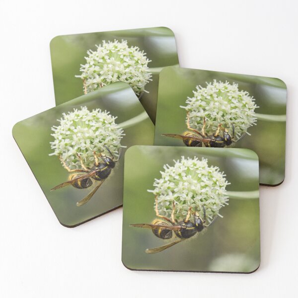 Item preview, European wasp on Wild Angelica designed and sold by Jouko Lehto Photography.