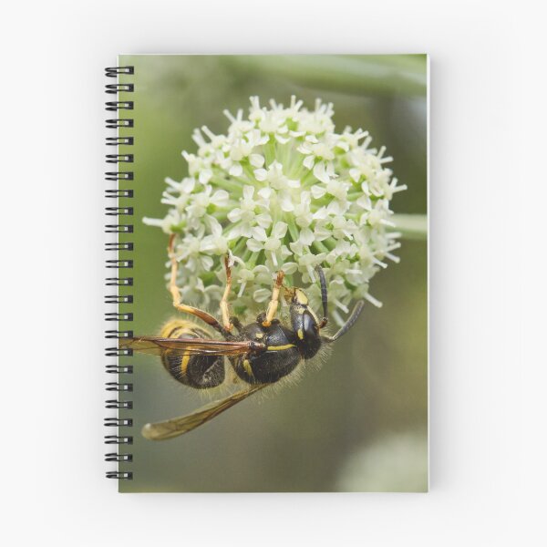 Item preview, European wasp on Wild Angelica designed and sold by Jouko Lehto Photography.