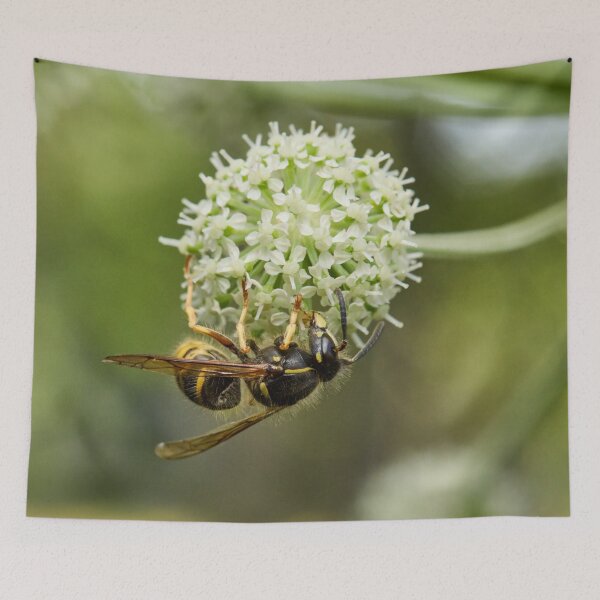 Item preview, European wasp on Wild Angelica designed and sold by Jouko Lehto Photography.
