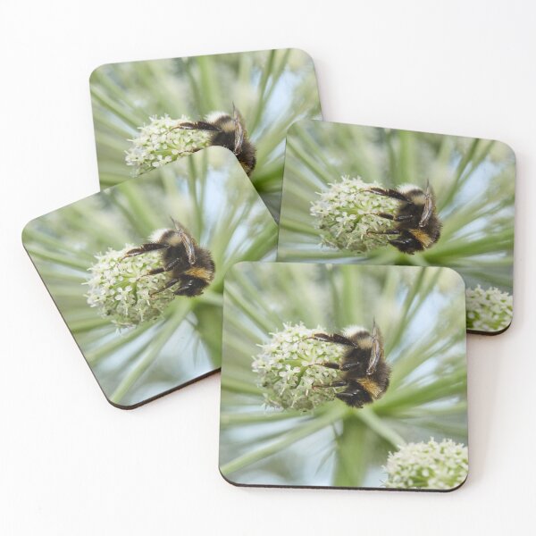 Item preview, White-tailed Bumblebee on Wild Angelica designed and sold by Jouko Lehto Photography.