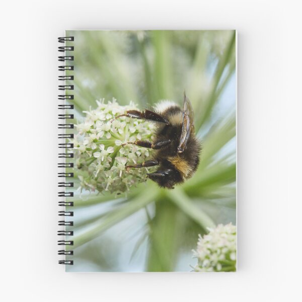 Item preview, White-tailed Bumblebee on Wild Angelica designed and sold by Jouko Lehto Photography.