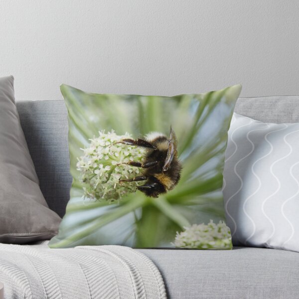 Item preview, White-tailed Bumblebee on Wild Angelica designed and sold by Jouko Lehto Photography.