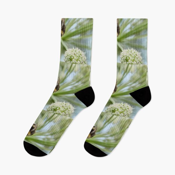 Item preview, White-tailed Bumblebee on Wild Angelica designed and sold by Jouko Lehto Photography.