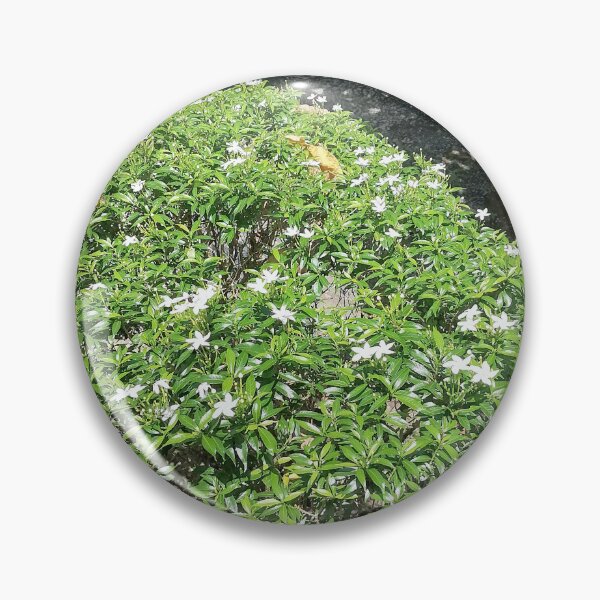Artikelvorschau, Green Nature Close Up entworfen und verkauft von PhuongVoArt.