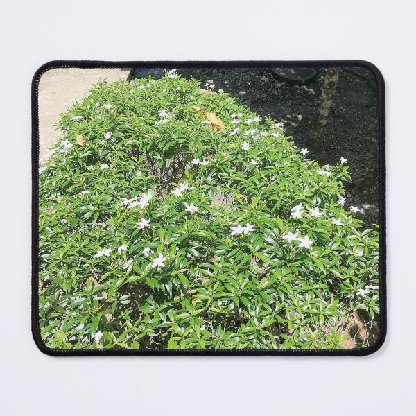 Item preview, Green Nature Close Up designed and sold by PhuongVoArt.