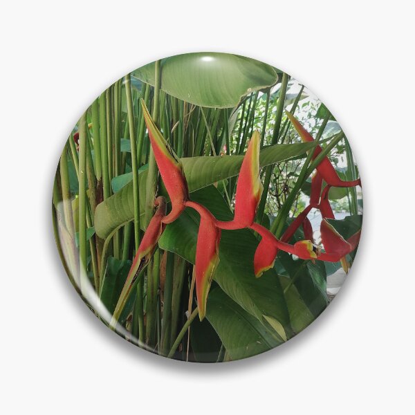 Item preview, Red Bird of Paradise Flower designed and sold by PhuongVoArt.
