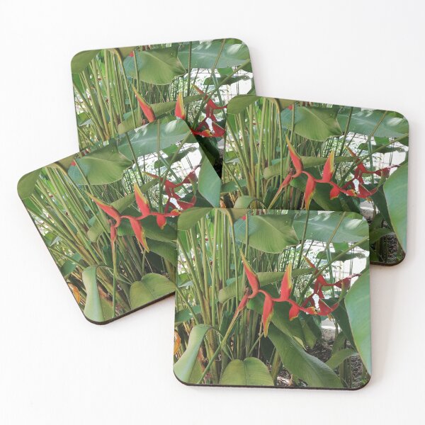 Item preview, Red Bird of Paradise Flower designed and sold by PhuongVoArt.