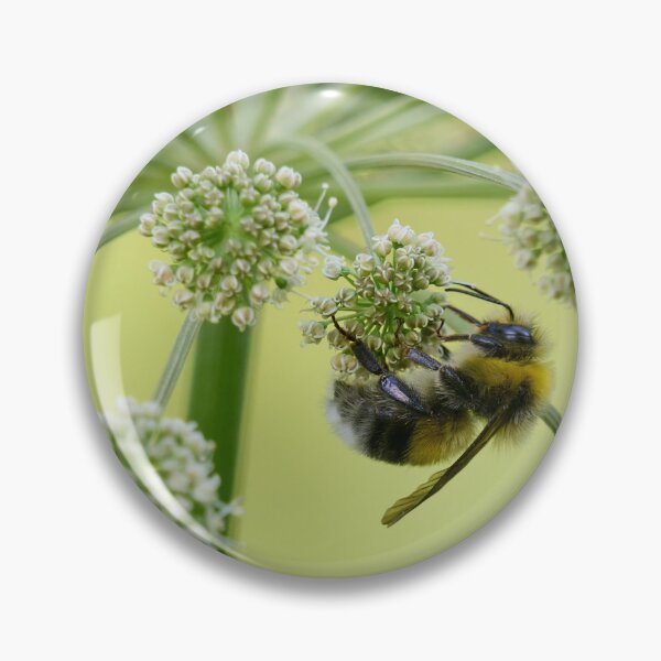 Item preview, Garden Bumblebee on Wild Angelica designed and sold by Jouko Lehto Photography.