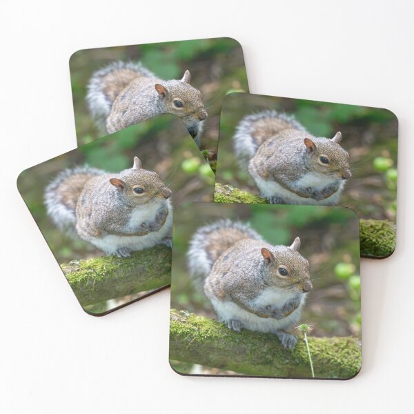 Item preview, Eastern grey squirrel (Sciurus carolinensis)  designed and sold by Stephen Jarman.