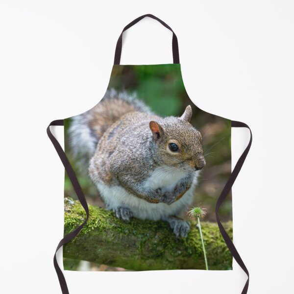 Item preview, Eastern grey squirrel (Sciurus carolinensis) designed and sold by Stephen Jarman.