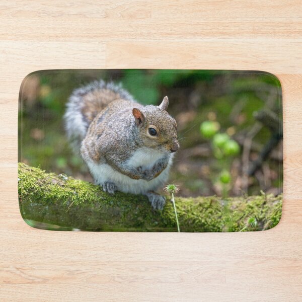 Item preview, Eastern grey squirrel (Sciurus carolinensis) designed and sold by Stephen Jarman.